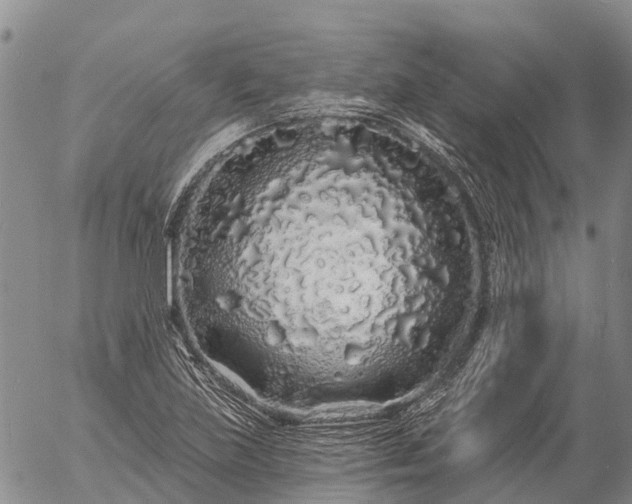 X0000057091219200509161621