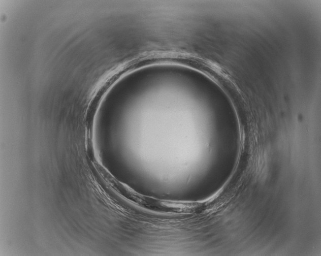 X0000057091221200509161621