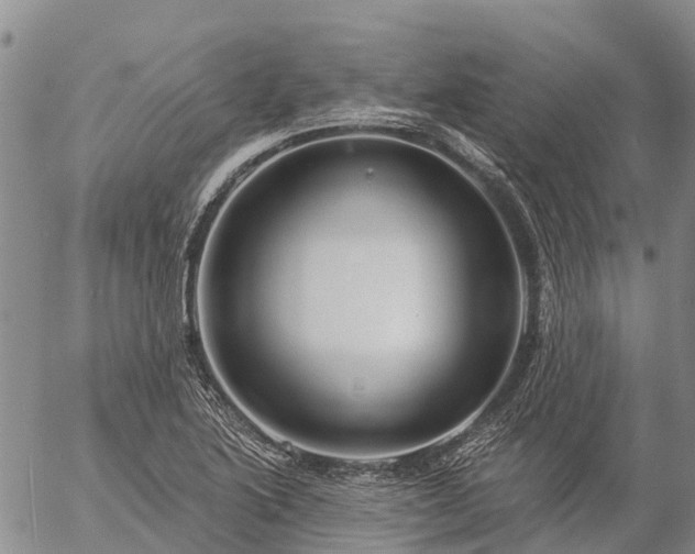 X0000057091222200509161621