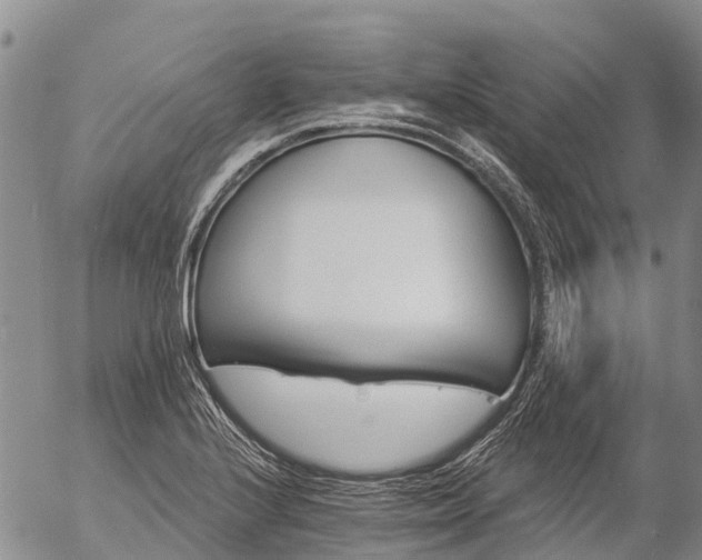 X0000057091224200509161621