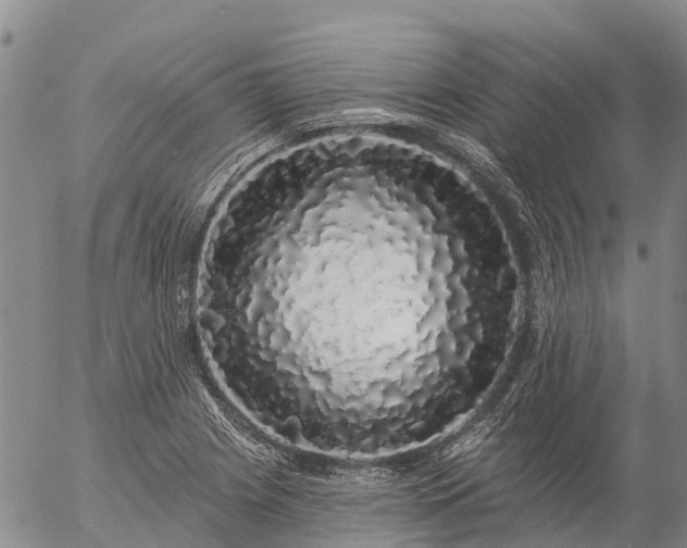 X0000057091225200509161621