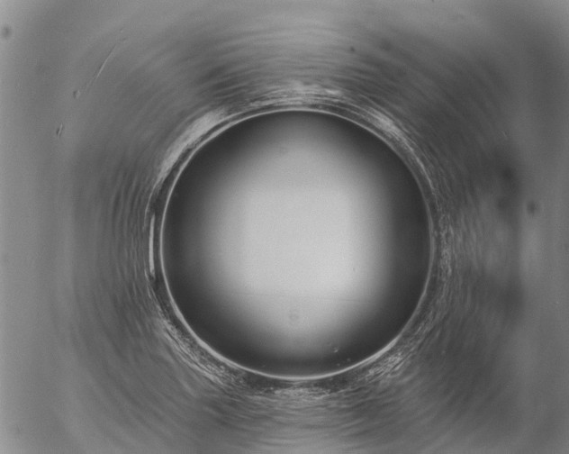 X0000057091227200509161621