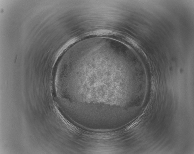 X0000057091229200509161621