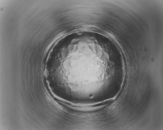 X0000057091235200509161621