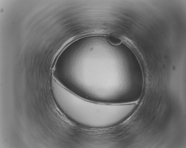 X0000057091236200509161621