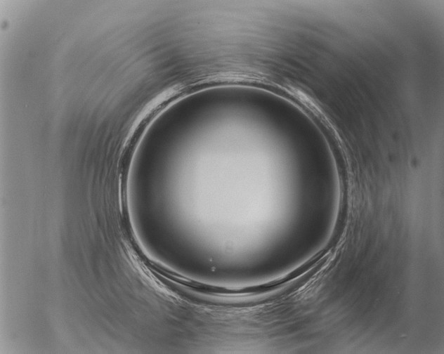 X0000057091238200509161621