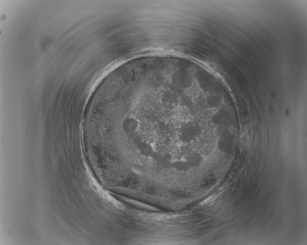 X0000057091239200509161621