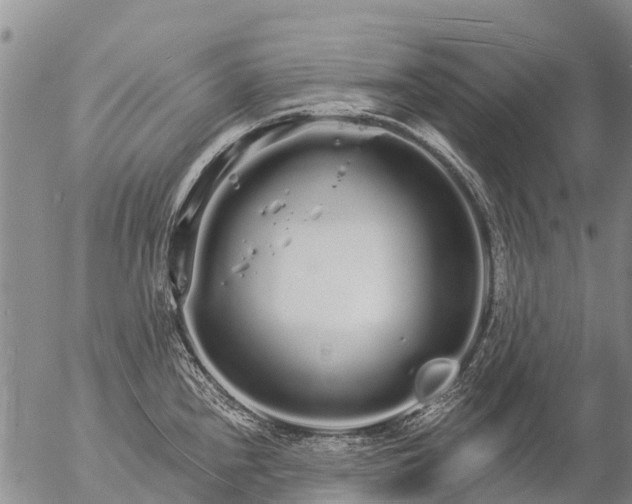 X0000057091240200509161621