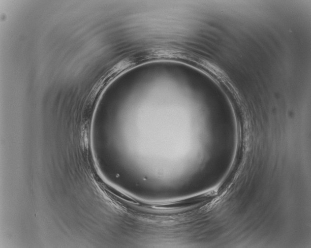 X0000057091241200509161621