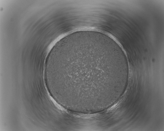 X0000057091245200509161621