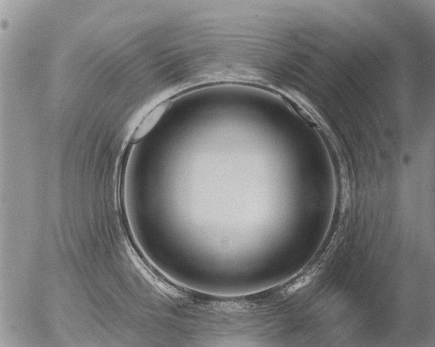 X0000057091246200509161621