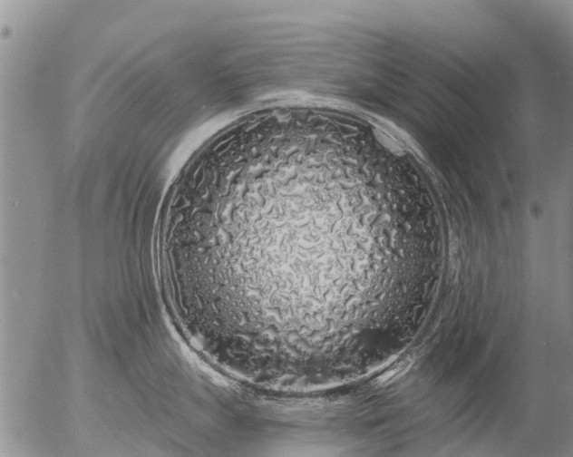 X0000057091247200509161621