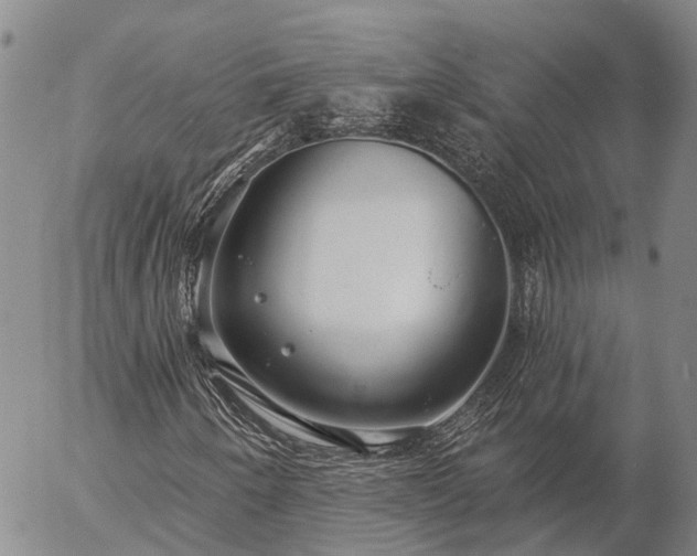 X0000057091250200509161620