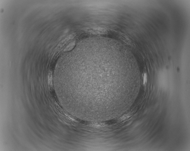 X0000057091251200509161620