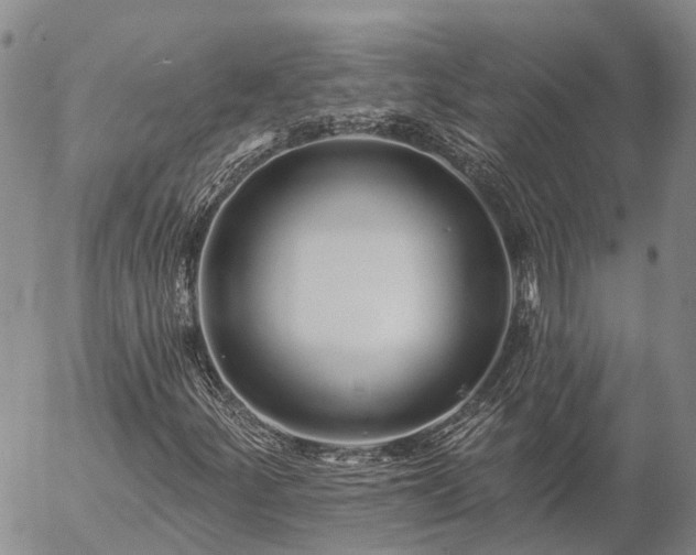 X0000057091252200509161620