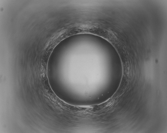 X0000057091253200509161620