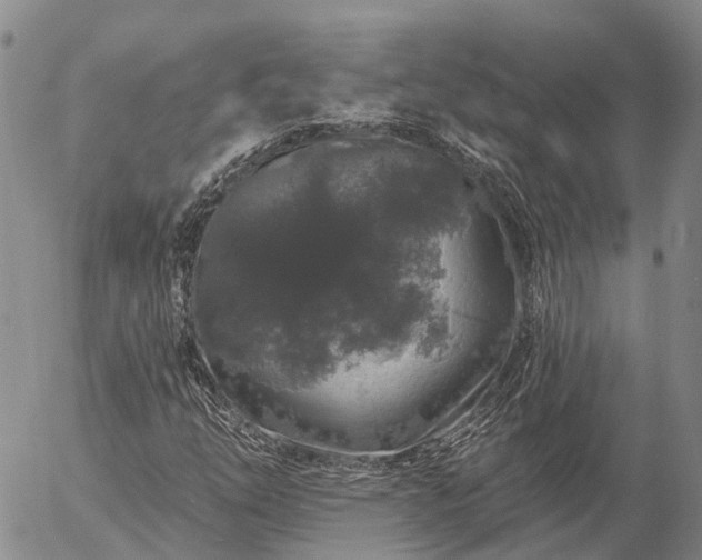 X0000057091254200509161620