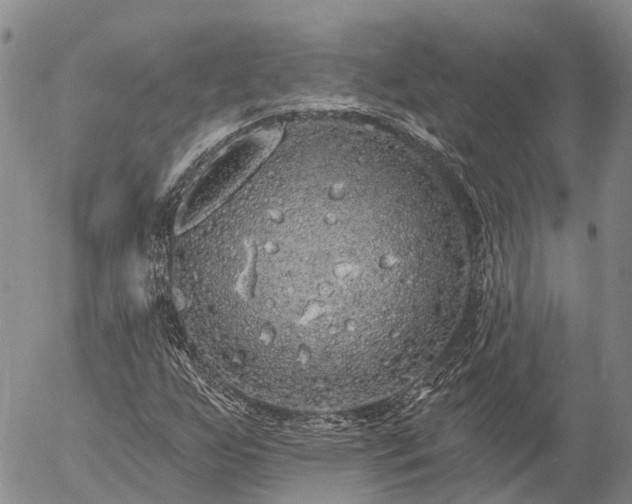 X0000057091255200509161620