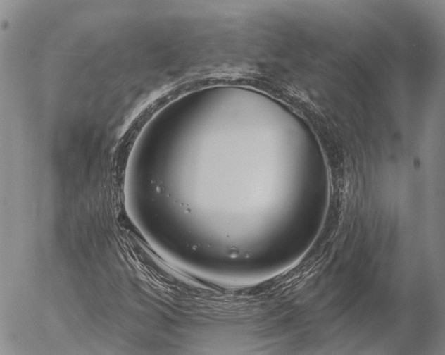 X0000057091256200509161620