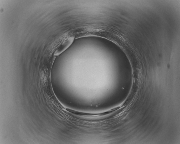 X0000057091257200509161620