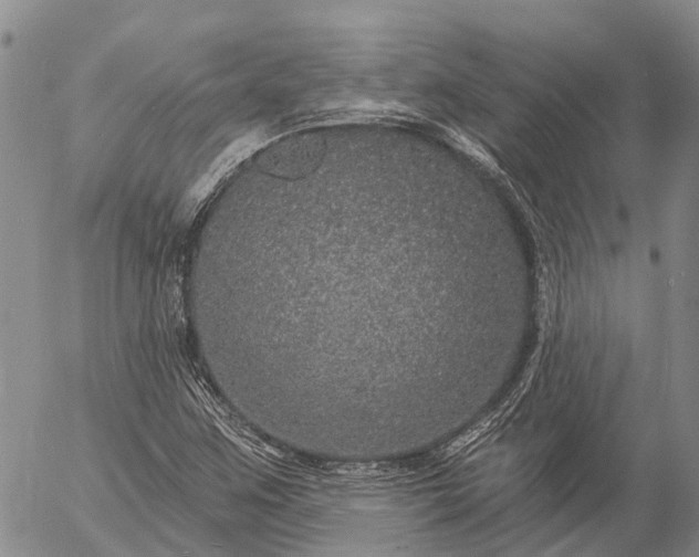 X0000057091259200509161620