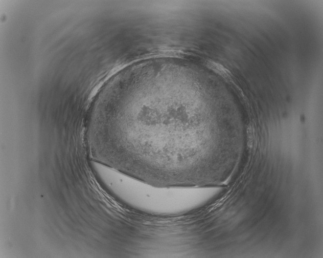 X0000057091260200509161620