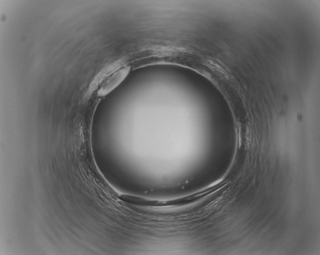 X0000057091261200509161620