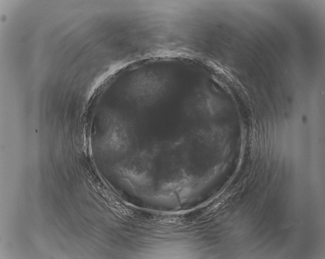 X0000057091262200509161620