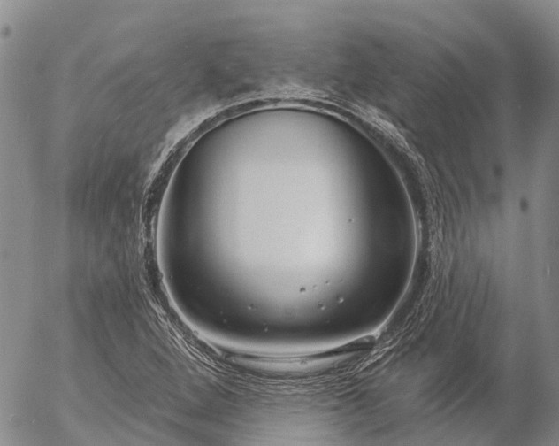 X0000057091264200509161620