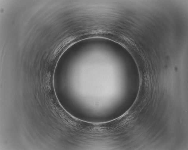 X0000057091265200509161620