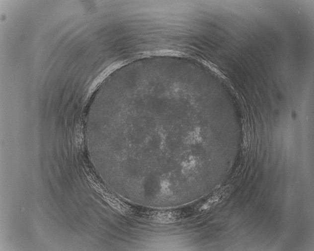 X0000057091266200509161620