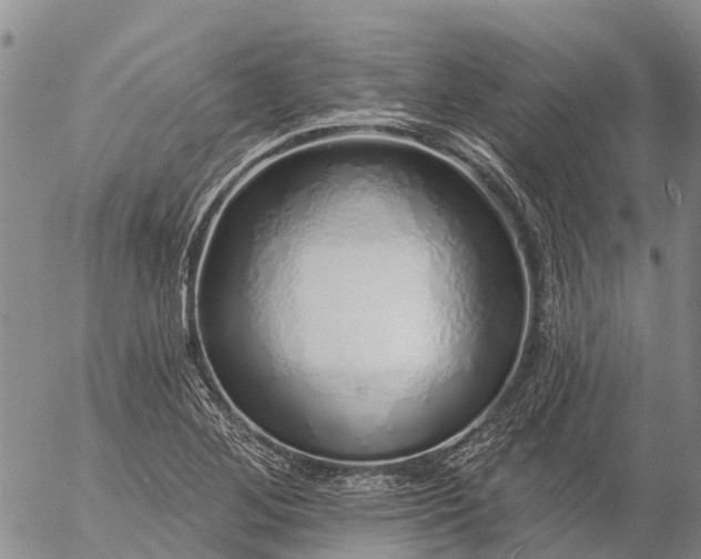 X0000057091268200509161620