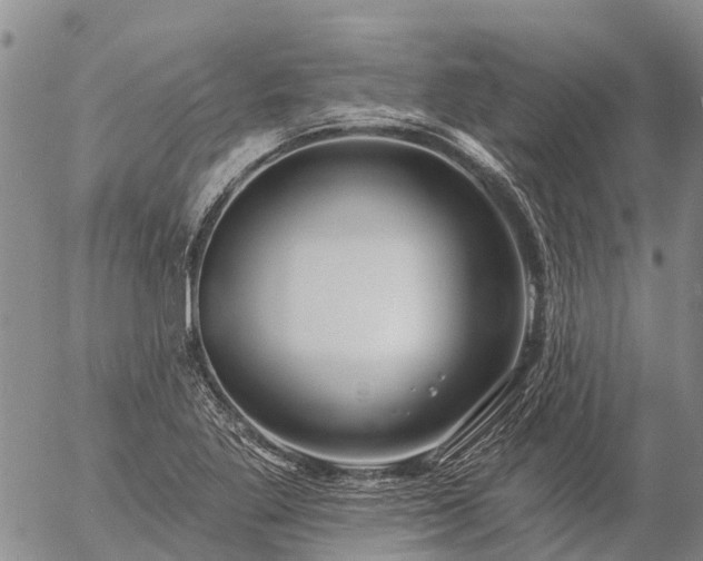 X0000057091269200509161620