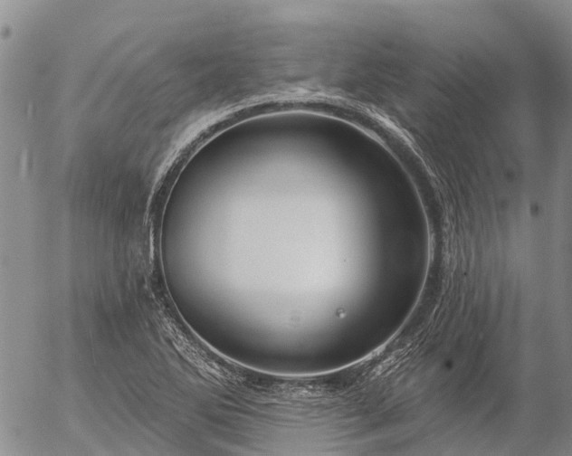 X0000057091270200509161620