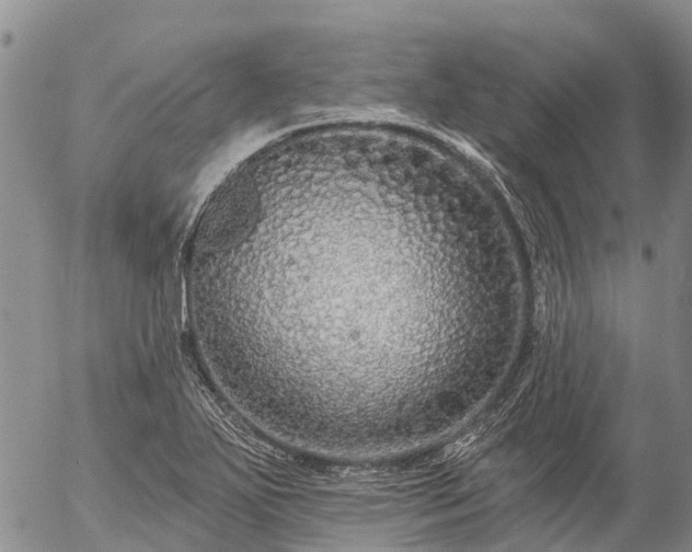 X0000057091271200509161620