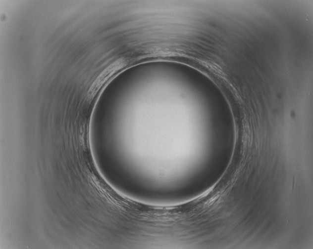 X0000057091273200509161620