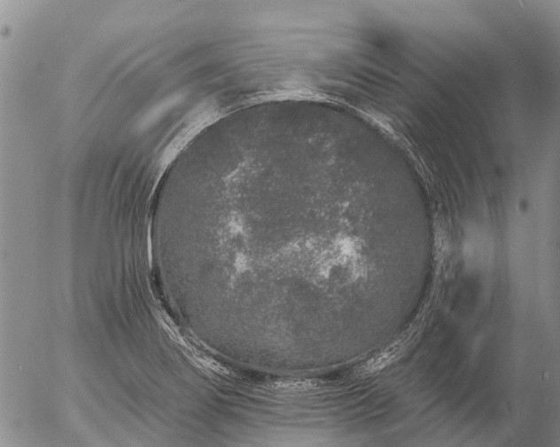 X0000057091274200509161620