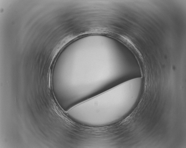 X0000057091276200509161620