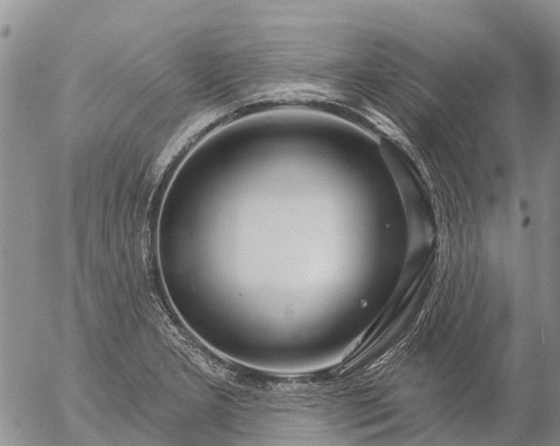 X0000057091277200509161620