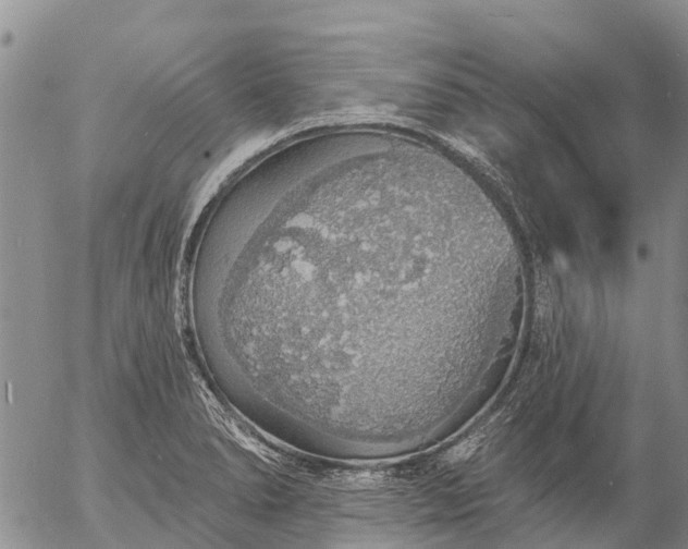 X0000057091278200509161620