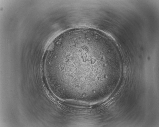 X0000057091279200509161620