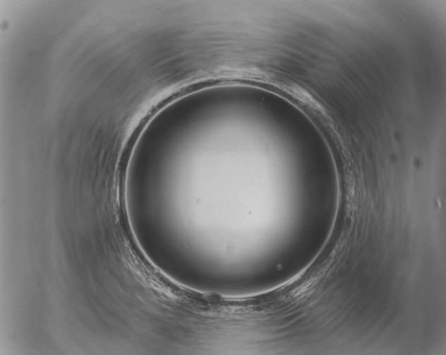 X0000057091280200509161620