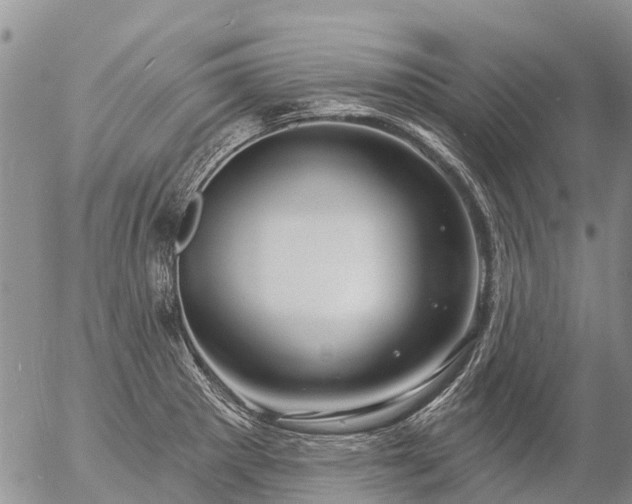 X0000057091281200509161620