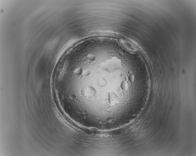 X0000057091283200509161620