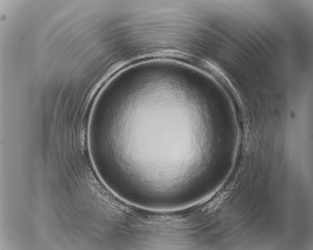 X0000057091284200509161620