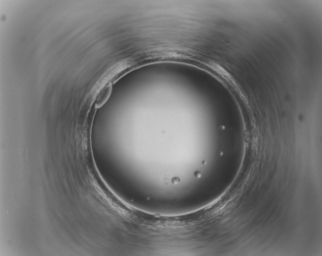 X0000057091285200509161620