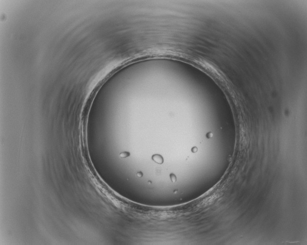 X0000057091286200509161620