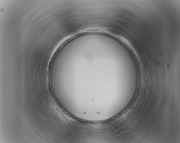 X0000057091288200509161620