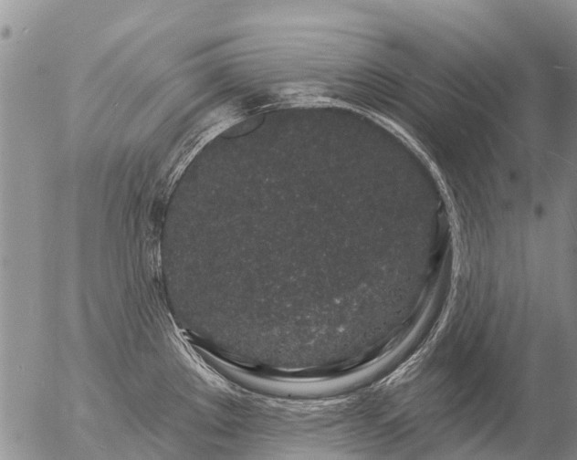 X0000057091289200509161620