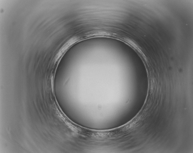 X0000057091290200509161620